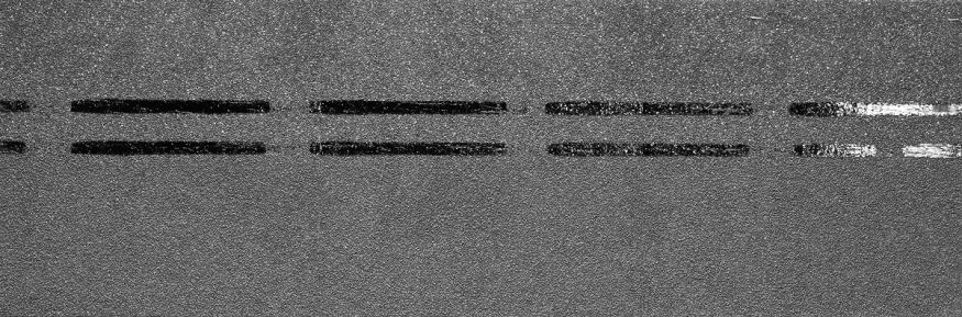 Коньково-карнизная черепица Docke, Premium, Черника купить в Краснодаре